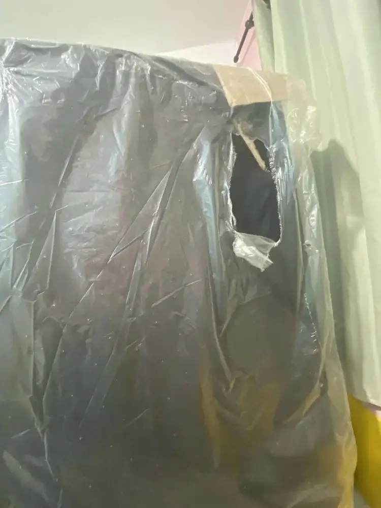 Imagem #2 de Cecilia Maltez