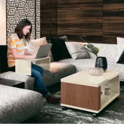 Mesa de Centro Pratica com Rodizios EDN