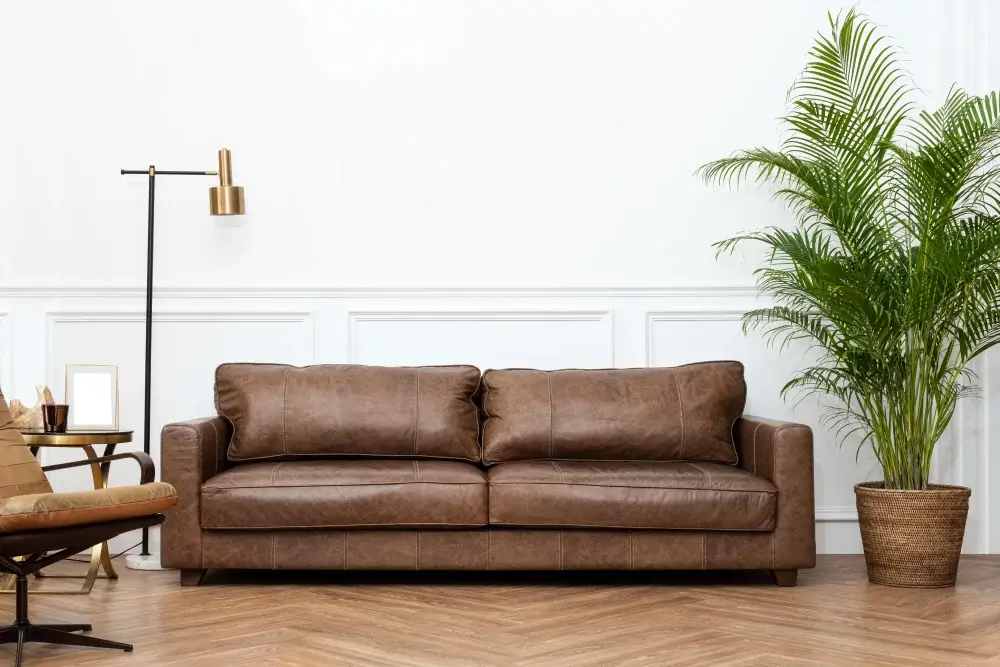 Courvin Ou Corino Qual O Melhor Material Para O Sofa 3