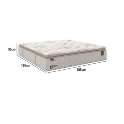 Colchao Doux Queen Molas LFK 36x198x158cm Sealy Medidas