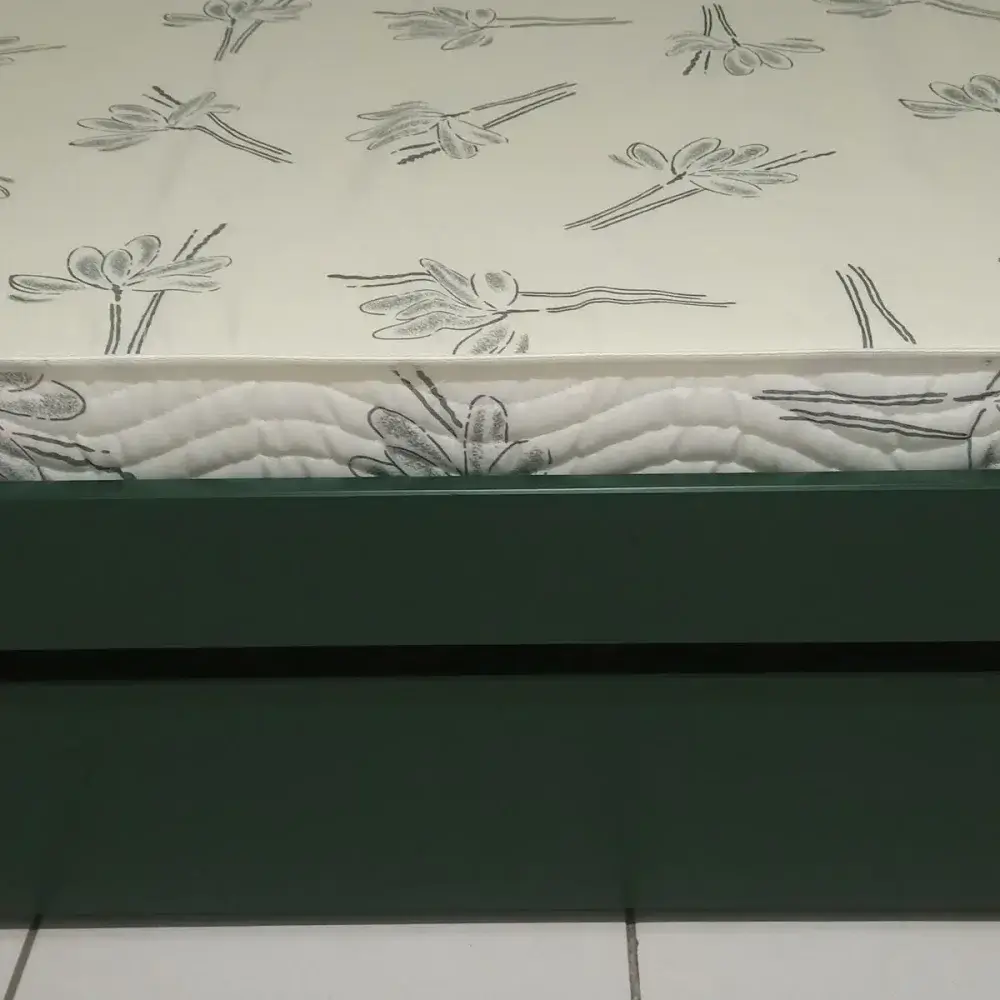 Imagem #5 de Catia Sampaio de Sousa